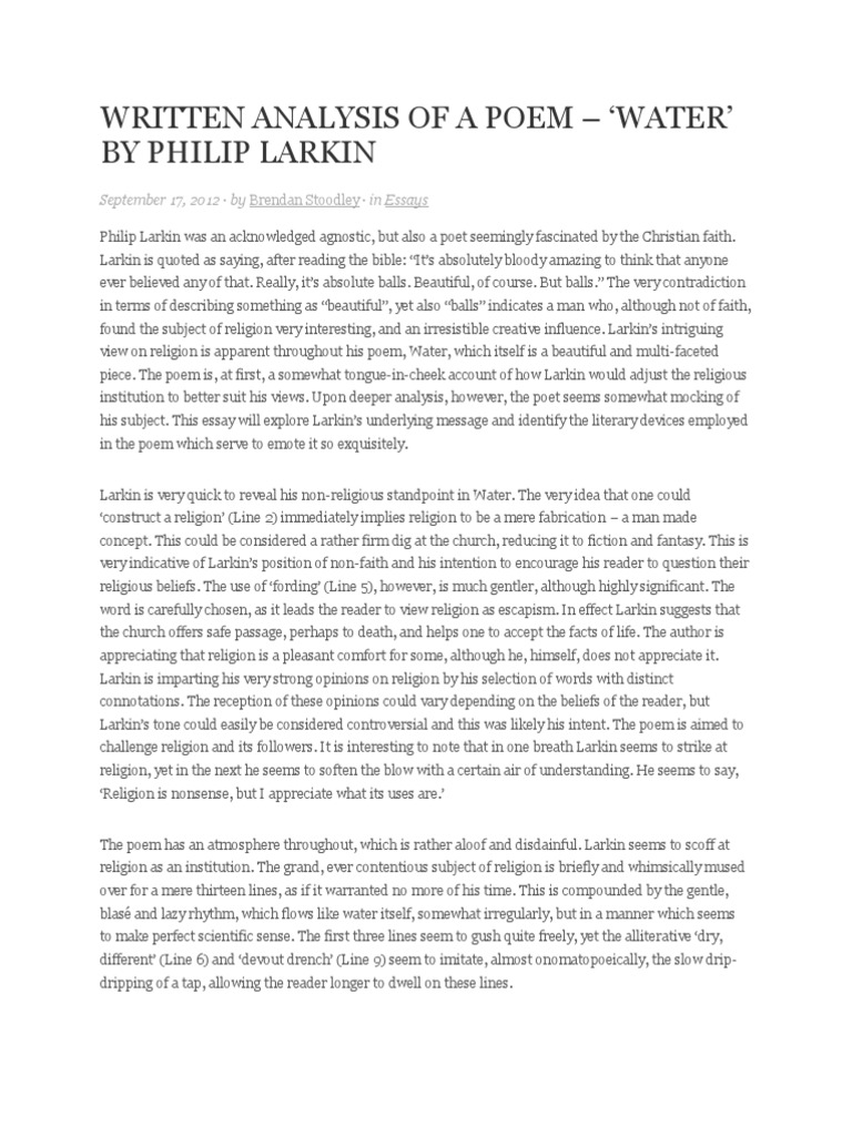 The poetry of larkin critical essays 07 picture