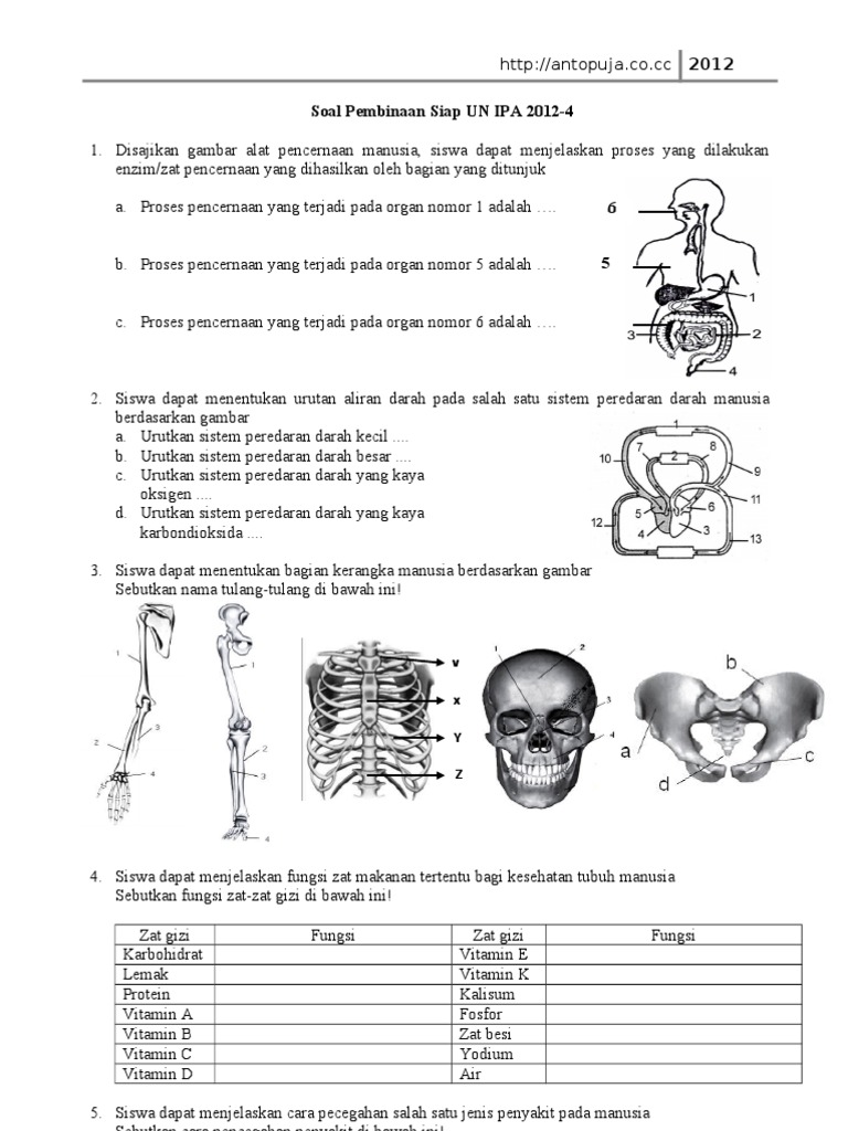 Soal Persiapan Un Sd Ipa 2012 4 Doc