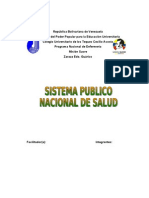 sistema publico nacional de salud.doc