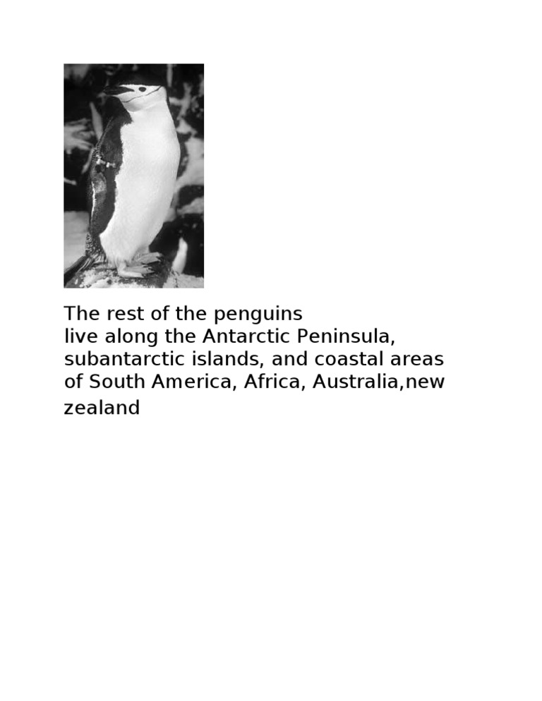 The Rest of The Penguins Live Along The Antarctic Peninsula ...