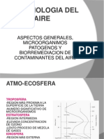 Microbiologia Del Aire.ppt