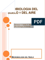 microbiologiadelsueloyaire-100616122958-phpapp01