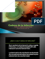 Cadena de la Infección