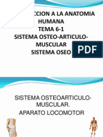 6-1-SISTEMA OSTEOARTICULO-MUSCULAR-OSEO.ppt