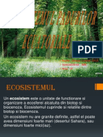 Ecosistem Padure Ecuatoriala