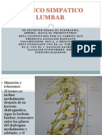 Tronco Simpatico Lumbar