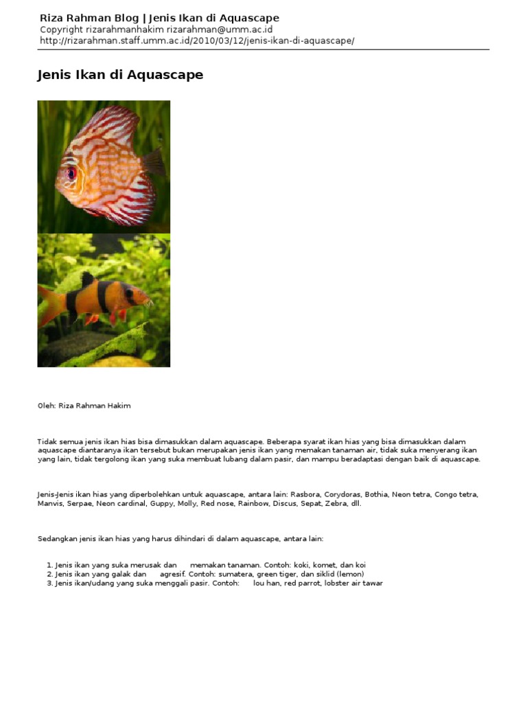 Riza Rahman Blog Jenis Ikan Di Aquascape Pdf