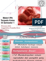 Sistem Reproduksi Manusia