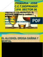 Proyecto de Alcoholismo 33
