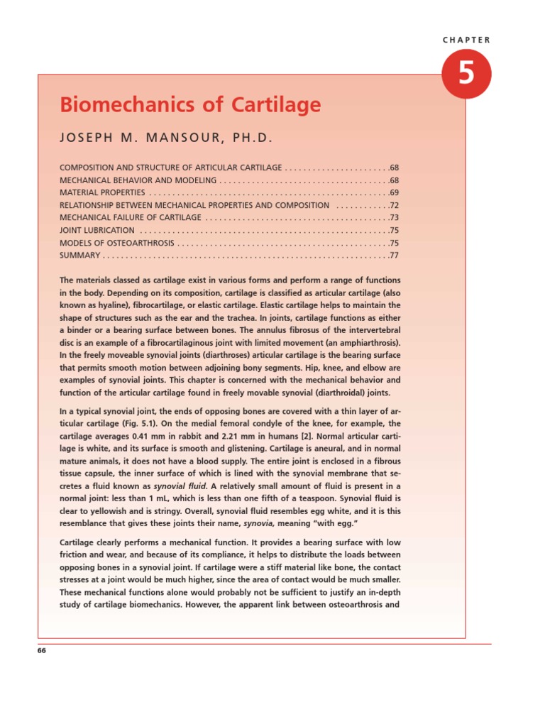 Biomechanics of Articular Cartilage | PDF | Knee | Osteoarthritis