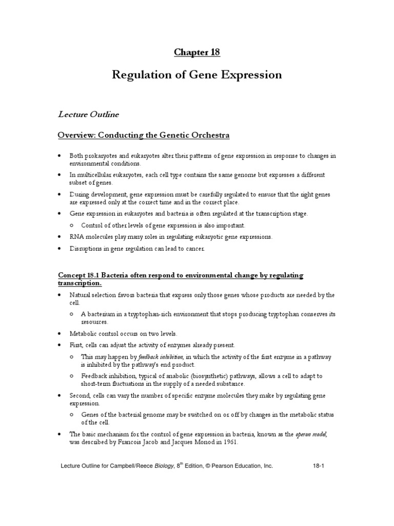 Regulation of Gene Expression | PDF | Operon | Rna