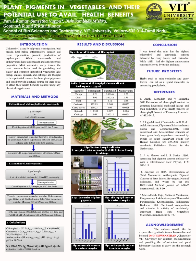 Plant Pigments | PDF | Chlorophyll | Carotenoid
