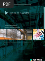 Download Rapport Werkkapitaal in Nederland by Flametree SN13594477 doc pdf