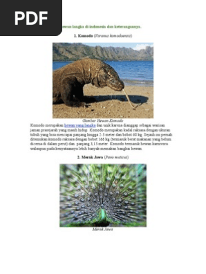 91 Koleksi Gambar Binatang Langka Beserta Keterangannya HD Terbaru