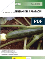 Calabacin Cladosporium