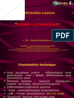 Final - MML Kidney Us