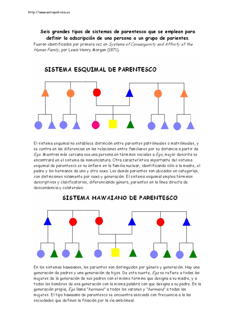 Seis grandes tipos de sistemas de