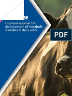 Metabolase - A Systems Approach to Transition Cow Therapy 