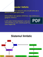 Sistemul Limfatic