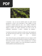 o Que Se Pode Fazer Nos Projetos - CULTURAS