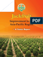 Jackfruit A Success Story 31-8-2012