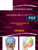 Anatomia-Cabeza.pdf