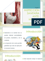 Inspección Ante-Mortem Equipo 1