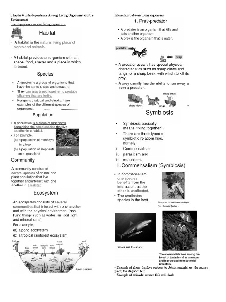Notes Form 2 Chapter 4 Ecosystem Environmental Science