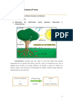 Ciências Da Natureza 6º Ano