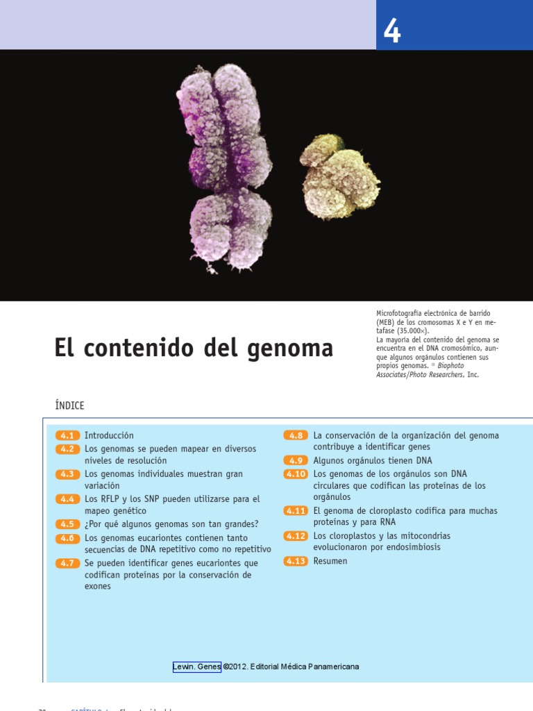 Lewin. Genes 2012 | PDF | Gene | Enlace Genético