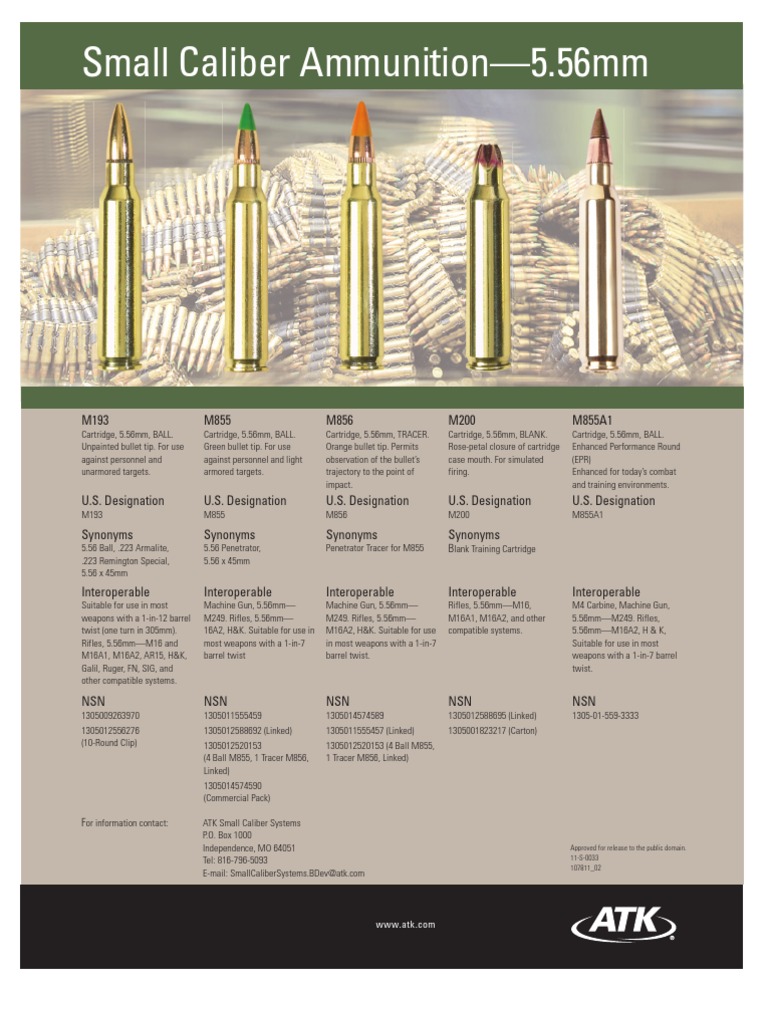 5.56 ページ IMI M855 5.56x45mm NATO Ammo 62 Grain SS109 Penetrator Full