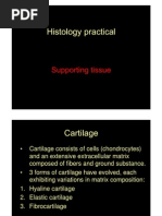 Download Histology of Cartilage and Bone-SLIDE 21 by bibeksd796 SN13601251 doc pdf