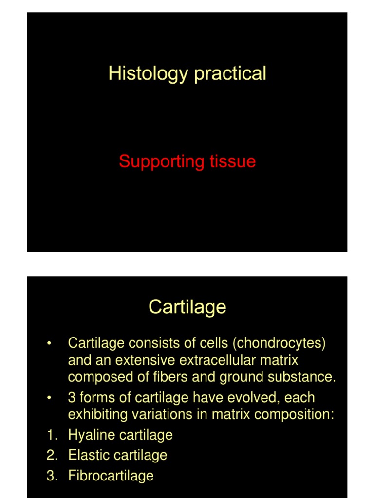 Handbook Of Histology Methods For Bone And Cartilage Pdf – ZQKEM