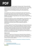 Case study turkcesi 04 picture