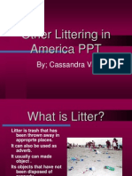 Littering in America