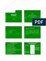 Anatomia Cortes Posições e Eixos, Introdução Ossos