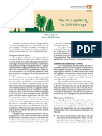 Tree Susceptibility To Salt Damage (SP610)