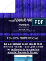 Ts y Capilaridad