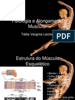 Fisiologia e Alongamento Muscular