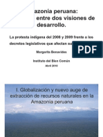 Amazonia Peruana El Choque Entre Dos Visiones Del Desarrollo PDF