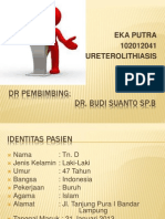 Presentasi Ureterolithiasis Eka