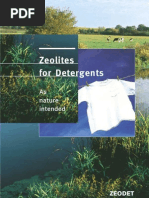 Download Zeolites in detergent by MinSoo Tom Kim SN136148621 doc pdf