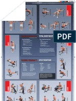 Dumbbell Exercise Poster 11X17 High Res
