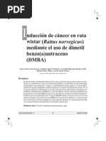 Inducir Cancer CN47-057