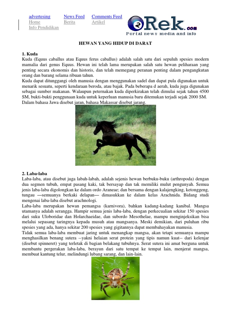 67+ Gambar Hewan Peliharaan Dan Ciri-cirinya HD Terbaik