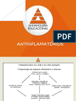 Aula 10 Aines e Aies