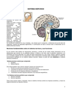 19 -Sistema Nervioso