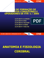 Anatomia e Fisiologia Cerebral