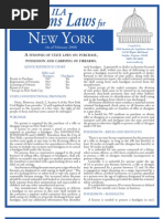 Download New York State Gun Laws by Daily Freeman SN13624979 doc pdf