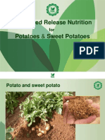 Haifa U MulticoteAgri Potatoes